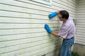 Affordable Siding Repair and Maintenance Services in Rockville, IN